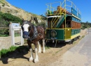 Victor Harbor Horse Drawn Tram, Australia