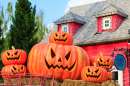 Halloween House Decorations